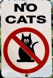 no_cats.jpg