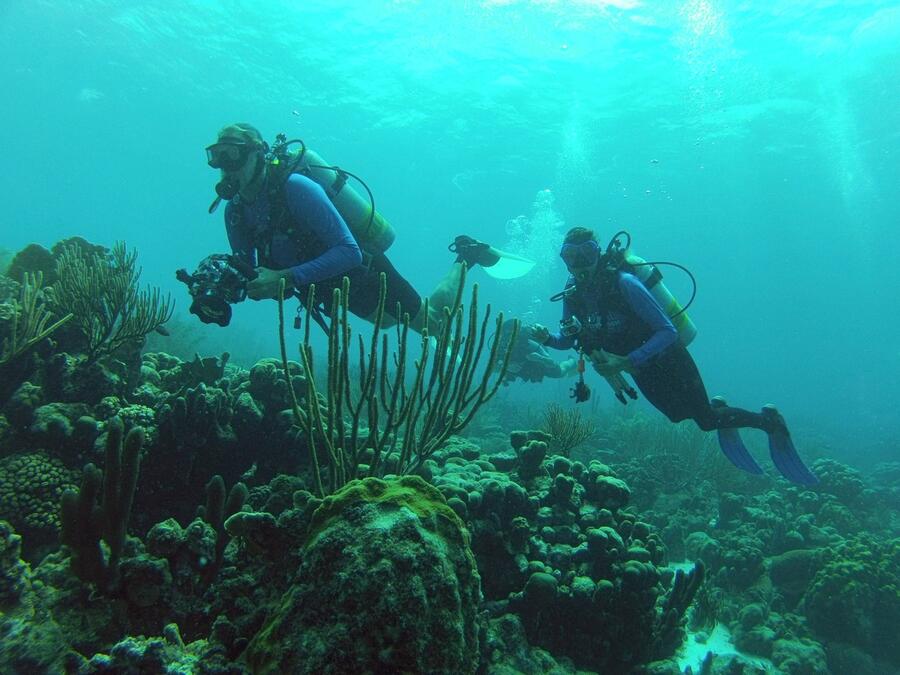 13 Diving along reef drop-off