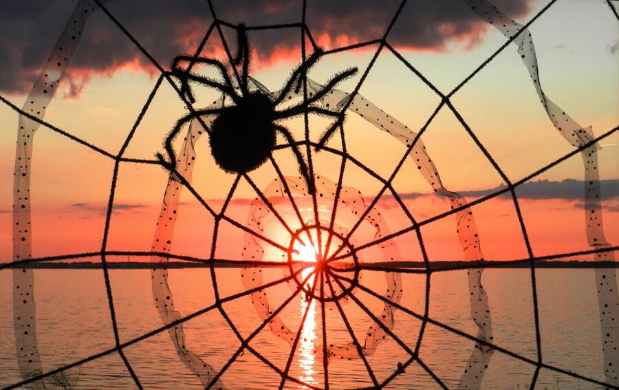 17 Halloween spider &amp; sunset